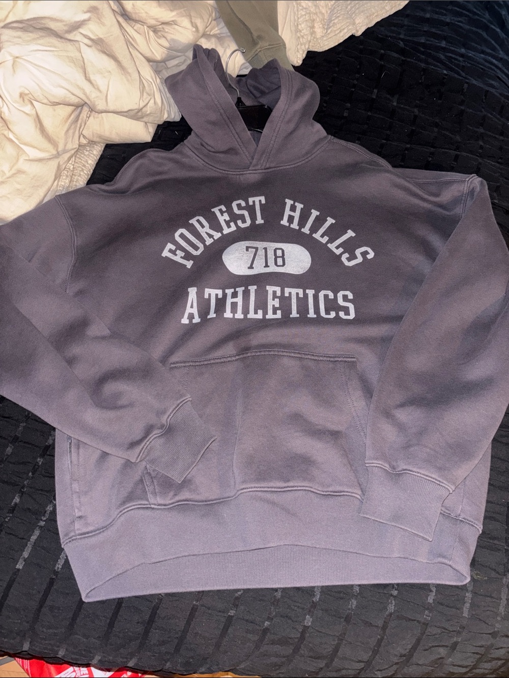 Forest hills athletics Hollister hoodie
